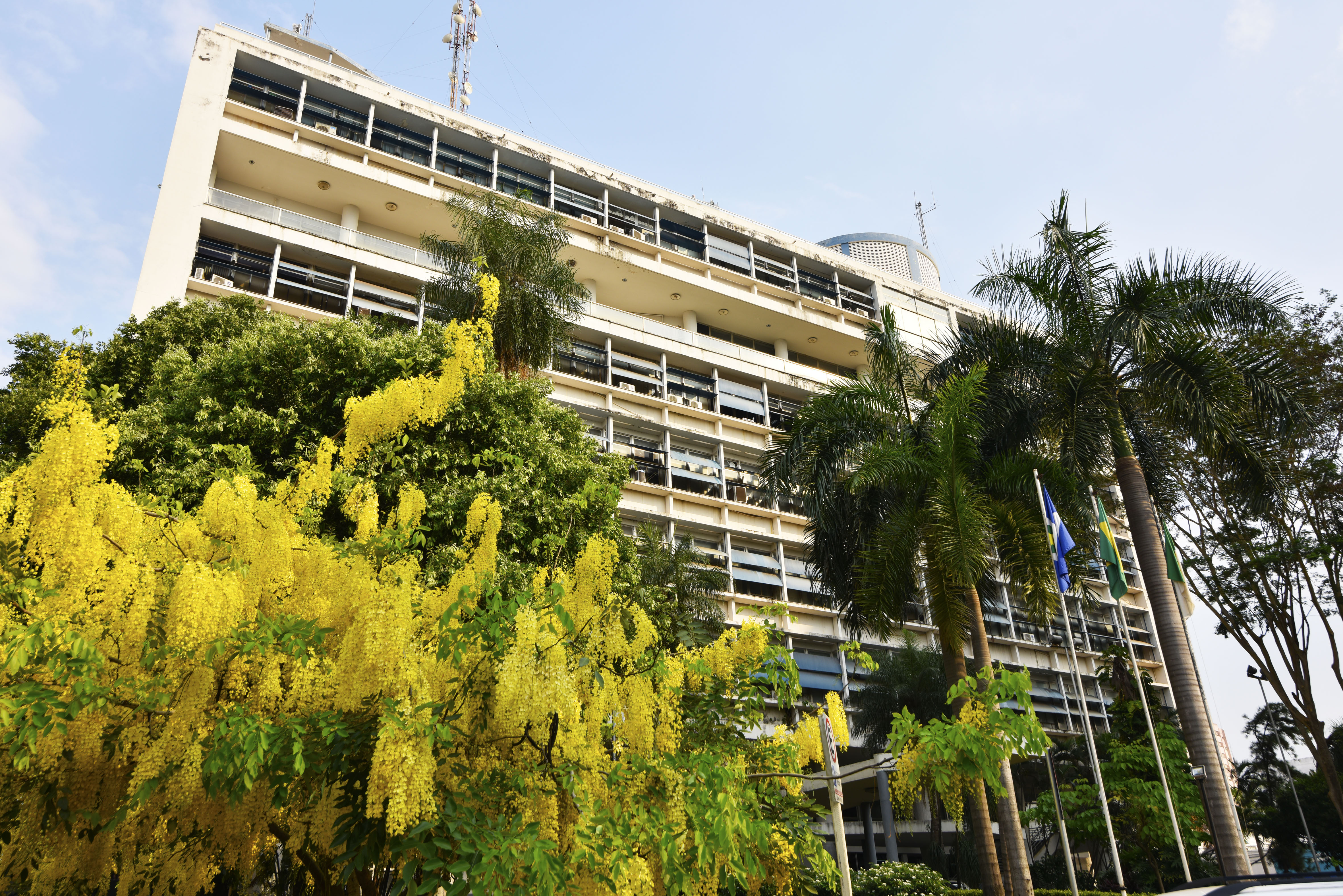 Arquivo