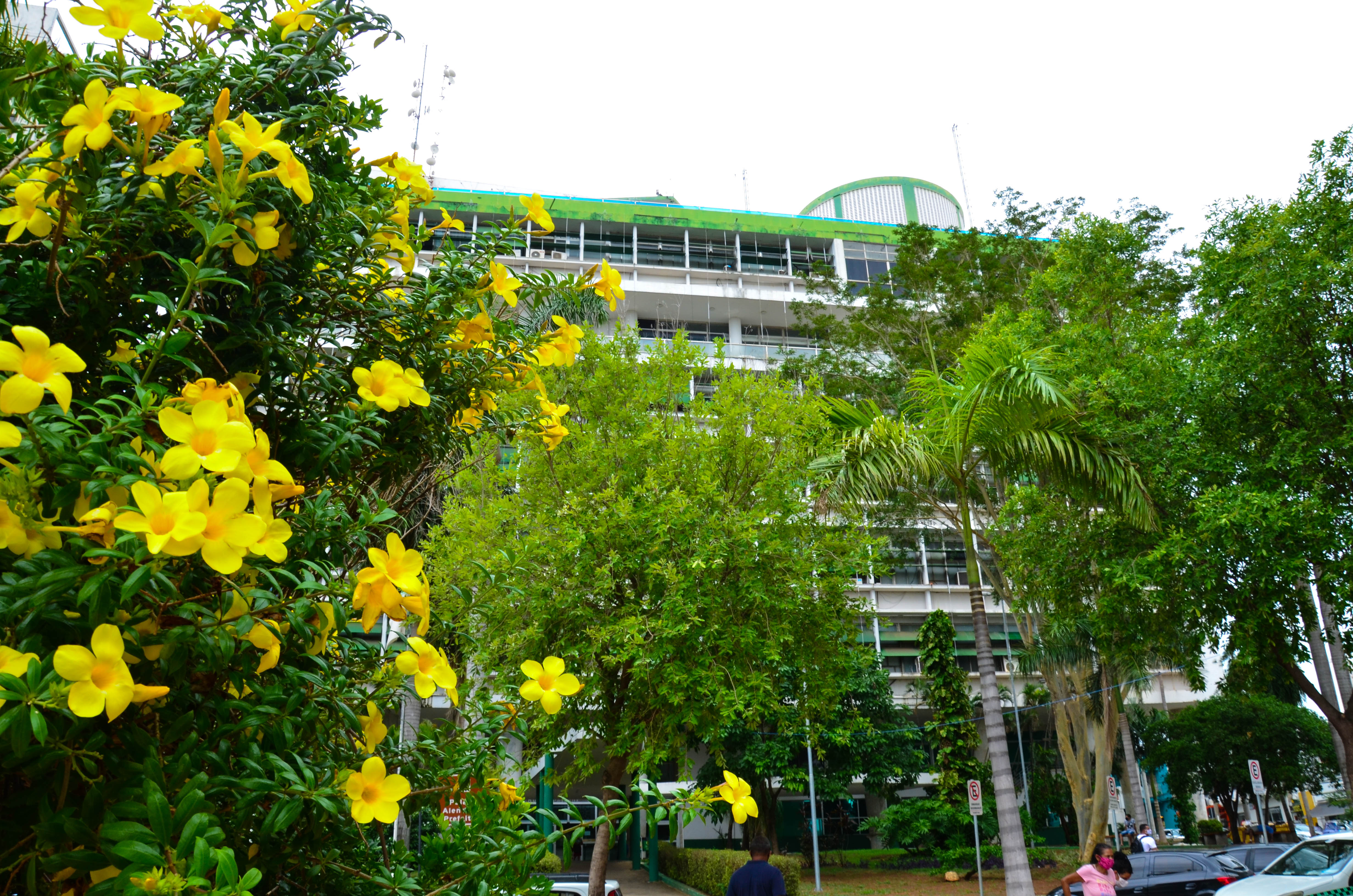 Arquivo