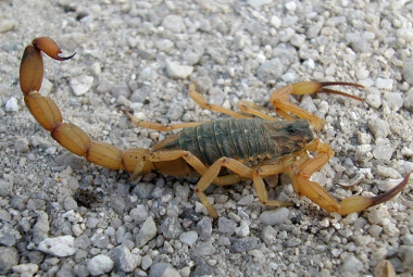 Arquivo